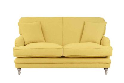 d2e56fe4d28c62b364bde13cc8f561cc455736a5ae1944e23630dc73a8c4df1f.jpg An Image of Madelein 2 seat sofa Malaga Mustard
