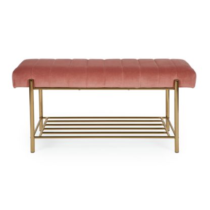 53d9053fb7828c46dc0768600b1dba983e8f87a34a44ac0584bc24310f03f3d7.jpg An Image of Kendall Bench Rose (Pink)