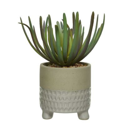 869142970fca6246a2c07ab21e97029c3c5c78efe2bfefdb587b2ce1b55aadb4.jpg An Image of Small White Pot Plant