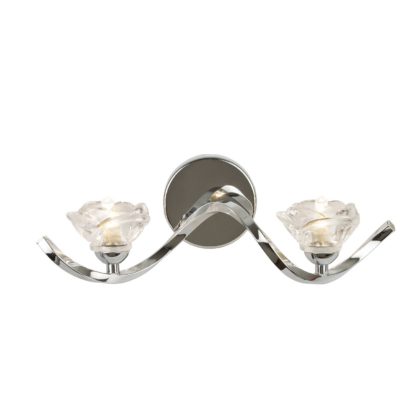 b6e30da378f2b830d45eeacea0afbf7802e80269e99d333f67036992606f8c86.jpg An Image of Glass Flower 2 Light Wall Light