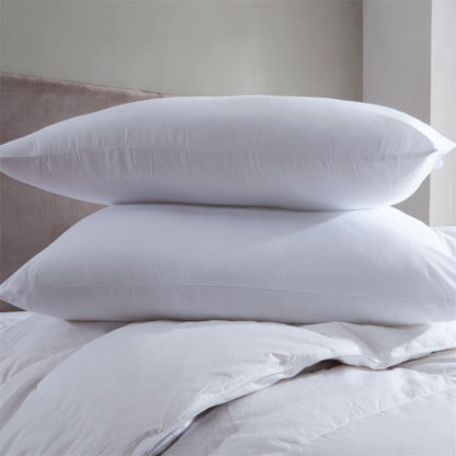e7c64567896cb3ea453bf0f7af5a3b034f8fef0e8d9731bb14b2a59d8a654f2b.jpg An Image of Soft Touch Pillow - Pair