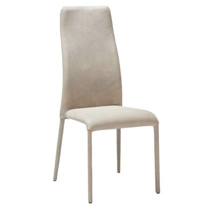 6c0f0374450b2998d3607bf32936d25acfcc0464e59daec181fb872a6b920f8f.jpg An Image of Trentino Dining Chair