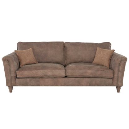 88c8fc5e44e798746bbfa53a11c7b36bedf60d98279b38eb23449b160dc30e1a.jpg An Image of Darwin Extra Large Leather Sofa