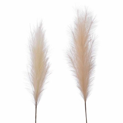 b48d7777b31d35b5579d14ac3b42df1bd04e8b0b58b4b63edc86078921adeef2.jpg An Image of Set of 2 Neutral Pampas Grass