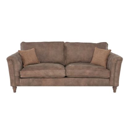 ed0edab4551542f31ff4240e099a6ad42516feb6a603d8eb0122523f4325d2fb.jpg An Image of Darwin Large Leather Sofa