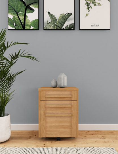 164be7862a6c457f5d21c9532164e5247e30384c1f7e9a21fcb8d3de2e99c546.jpg An Image of M&S Sonoma™ Filing Cabinet