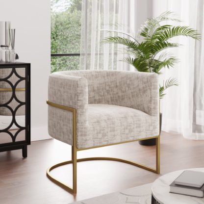 5703ef7125cb227ed58bcf9654c52b4917e9db0aa347afdebf2eeb7502256240.jpg An Image of Octavia Mink Distressed Velvet Chair Mink