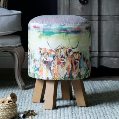 960266ef05e13bf07d5ef5598e3d503dbb5e243e4a1757a632093cab69dfe6dc.jpg An Image of Monty Fabric Footstool Monty Thistle Glen