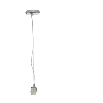 bbc156b529446ba2332953fbb5d3cc80d3c3fdd527cd512bd60e1407c463d554.jpg An Image of Brushed Chrome Ceiling Light Chrome