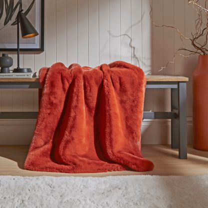 ce78ccaef466dd778a54c547a5160a8df80b382078d39e93cf20ce2b11ca1d5f.jpg An Image of Silky Soft Faux Fur Throw Blush
